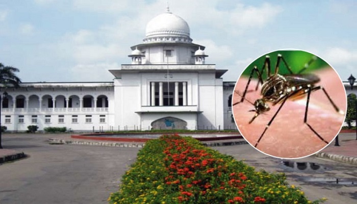 `এডিস মশা নিধনে সিটি কর্পোরেশন ব্যর্থ'