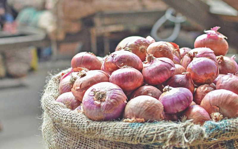 ১৫ দিনের মধ্যেই পেঁয়াজের দাম কমবে
