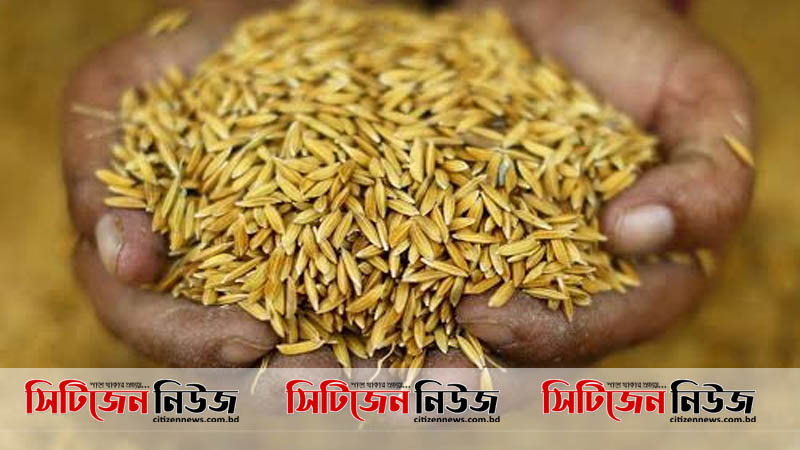 ‘সরাসরি কৃষকদের কাছ থেকেই ধান কেনা হবে’