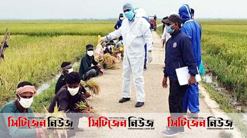 হাওরের ৪৪ শতাংশ ধান কাটা হয়ে গেছে: কৃষিমন্ত্রী
