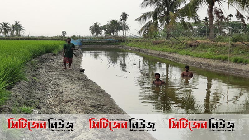 করোনাে ইস্যুতে ধ্বংসের পথে চিংড়ি শিল্প