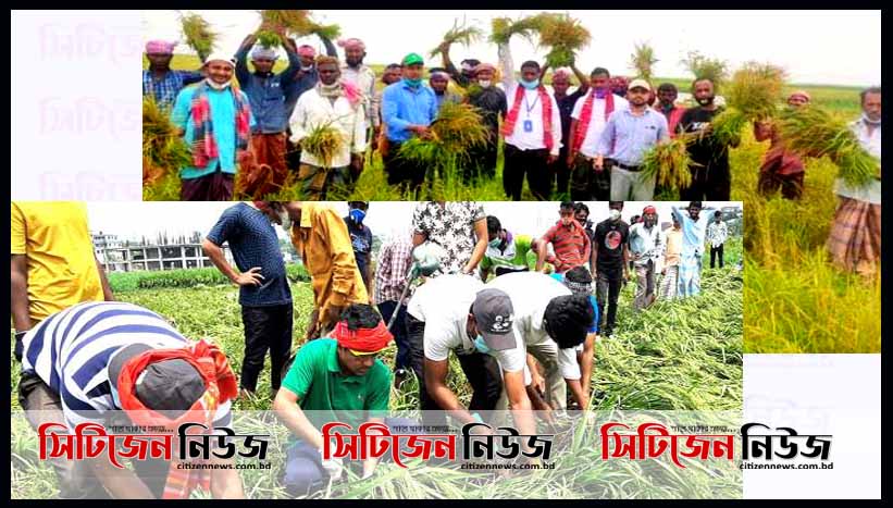 ঘরের মধ্যে ঘর, জনে জনে হাওলাদার