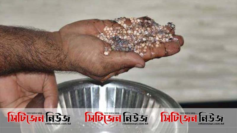 হালদায় ডিম ছেড়েছে মা মাছ