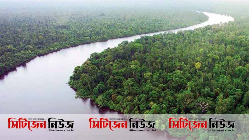 বাংলাদেশকে রক্ষায় বুক পেতে দিল সুন্দরবন