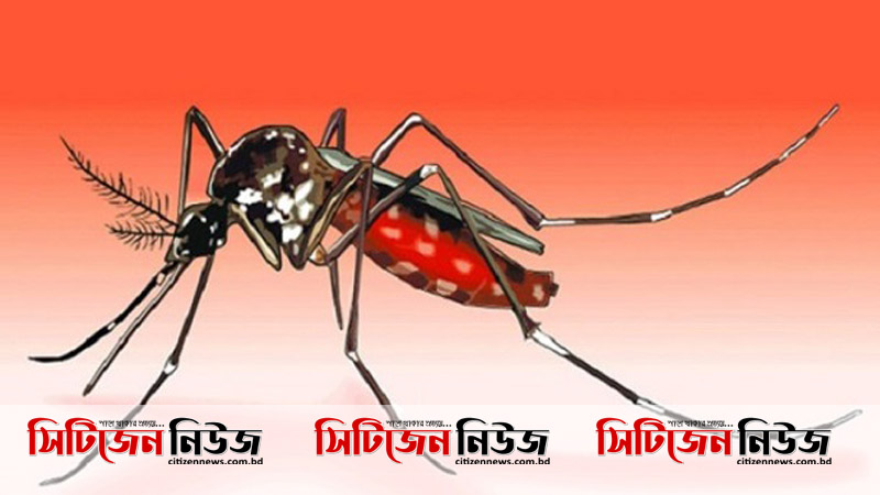 ডেঙ্গুতে আক্রান্ত ৩০০ জন: স্বাস্থ্য অধিদপ্তর