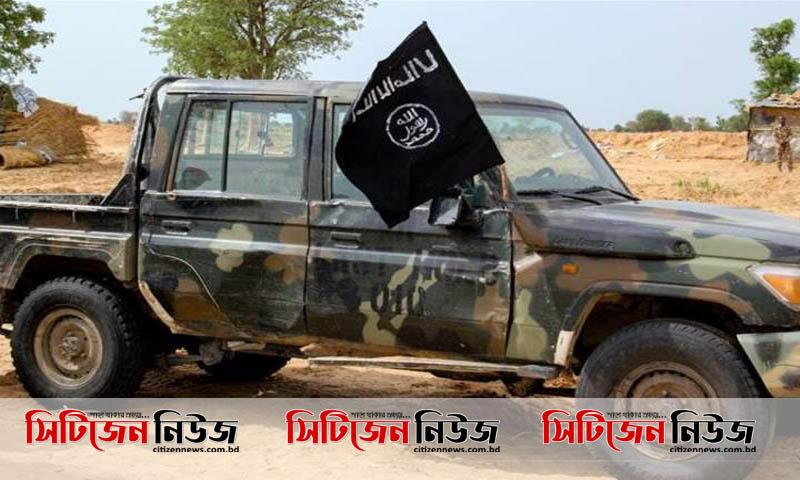 সরকারি বাহিনীর হামলায় ৭৫ জঙ্গি নিহত