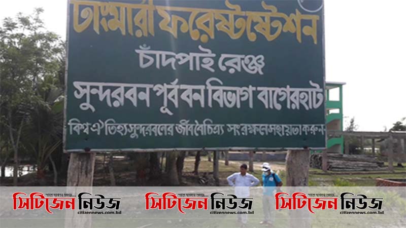 সুন্দরবনের রক্ষক এখন বক্ষকের ভুমিকায়!