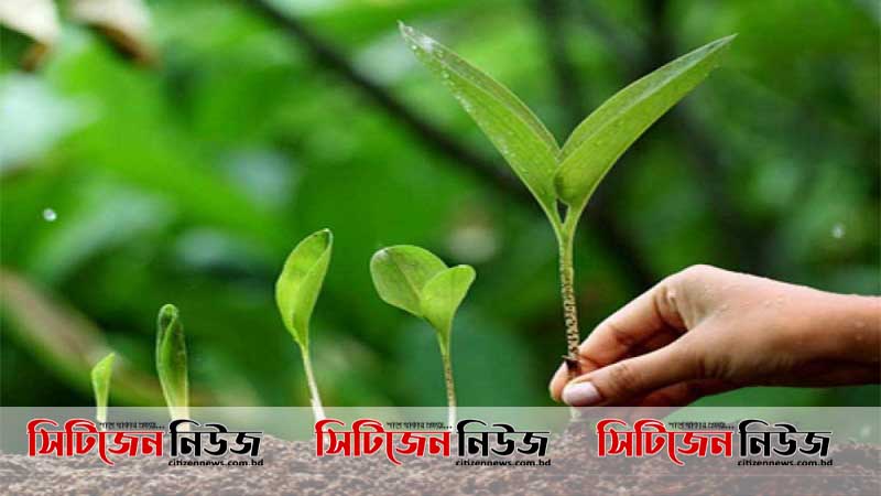 বিশ্ব পরিবেশ দিবস আজ