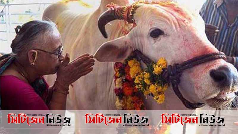 ভারতে গরু জবাই করলে ১০ বছরের কারাদণ্ড