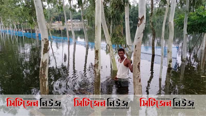 কুড়িগ্রামে বন্যায় ৩ কোটি টাকার মাছের ক্ষতি