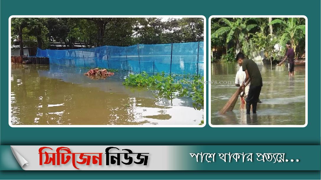 বন্যায় ভেসে গেছে ১১ কোটি টাকার মাছ