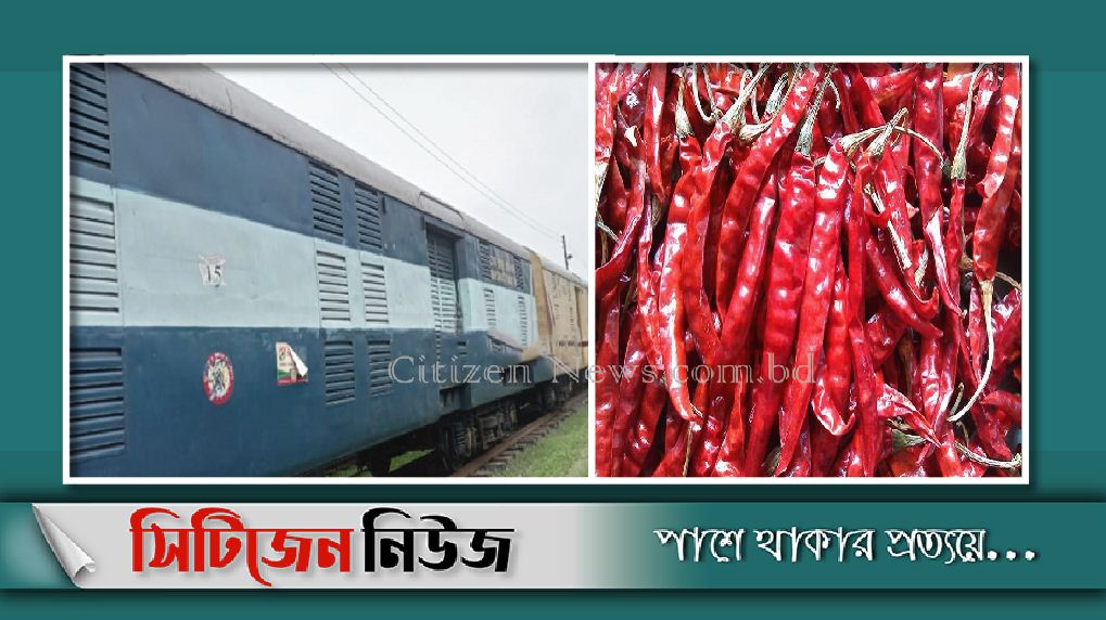 ভারত থেকে এসেছে ৩৮৪ টন শুকনো মরিচ