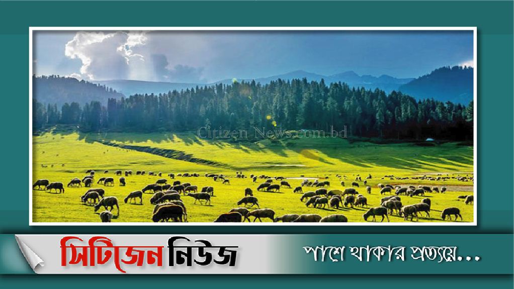 পর্যটকদের জন্য খুলছে পৃথিবীর ভূ-স্বর্গ