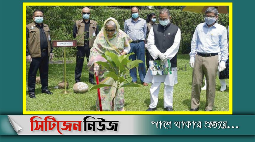 কোটি চারা রোপণের উদ্বোধন করলেন প্রধানমন্ত্রী