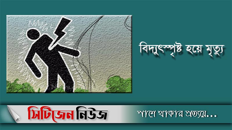শ্রীবরদীতে বিদ্যুৎস্পৃষ্ট হয়ে দুই ভাইয়ের মৃত্যু