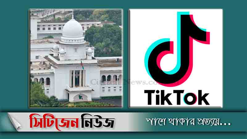 টিকটকের অশ্লীল কন্টেন্ট সরিয়ে ফেলতে রিট 