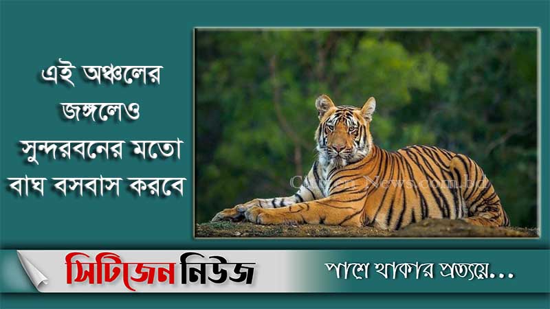 পার্বত্য চট্টগ্রামে বাঘ ছাড়ার চিন্তা সরকারের