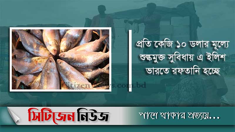 ভারতে গেল আরও ৬৩ মেট্রিক টন ইলিশ