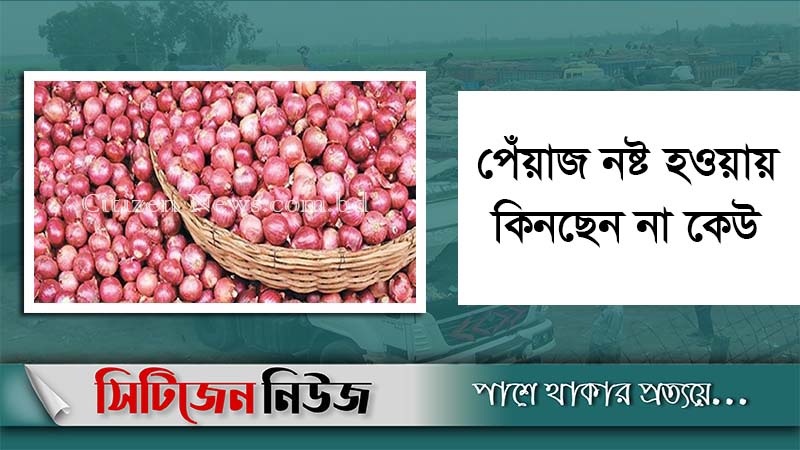 দেশে আসা বেশিরভাগ ভারতীয় পেঁয়াজ পচা
