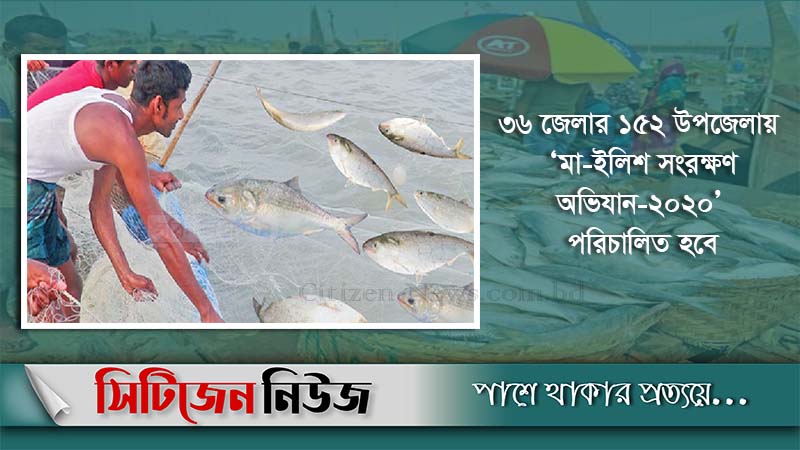 আজ থেকে ২২ দিন ইলিশ ধরা-বিক্রি নিষিদ্ধ