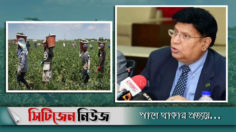 বাংলাদেশ থেকে ইতালি যাবে কৃষিশ্রমিক