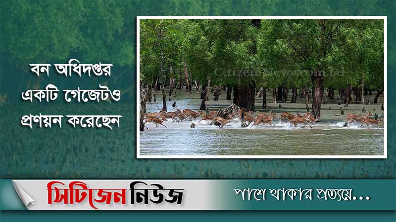 ১ নভেম্বর খুলছে সুন্দরবনের সব পর্যটনকেন্দ্র