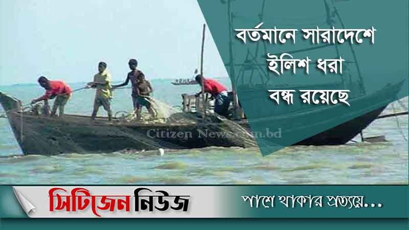 বৃহস্পতিবার থেকে ইলিশ ধরা শুরু