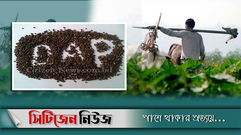 ‘১৬ টাকার ডিএপি সার কিনতে হচ্ছে ২৬ টাকায়’