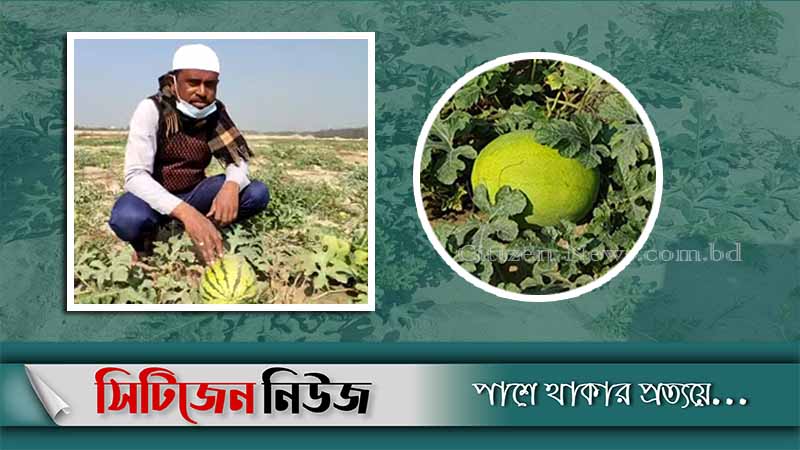 পারকির বালুর চরে শখের বসে তরমুজ চাষ