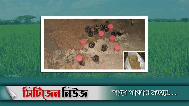 যশোরে ধানক্ষেতে মিলল ২৬টি বোমা