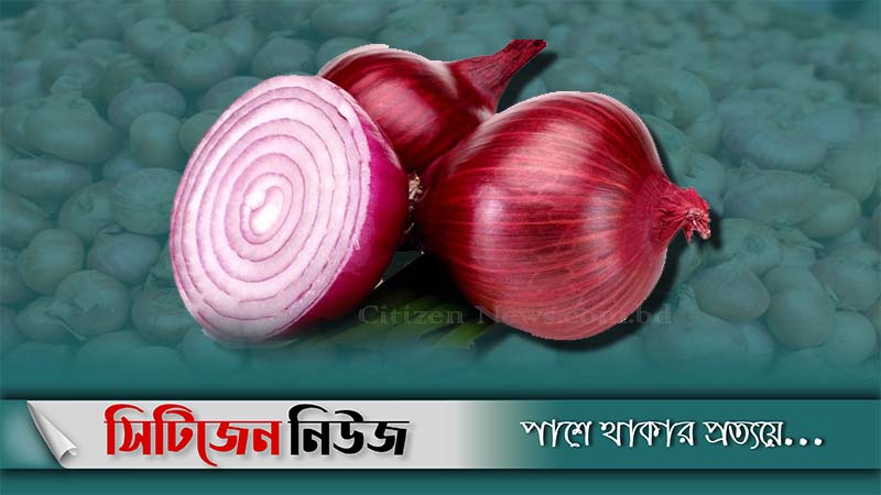 ভারতীয় পেঁয়াজ ৫০ টাকার নিচে বিক্রি সম্ভব নয়: বাণিজ্যমন্ত্রী