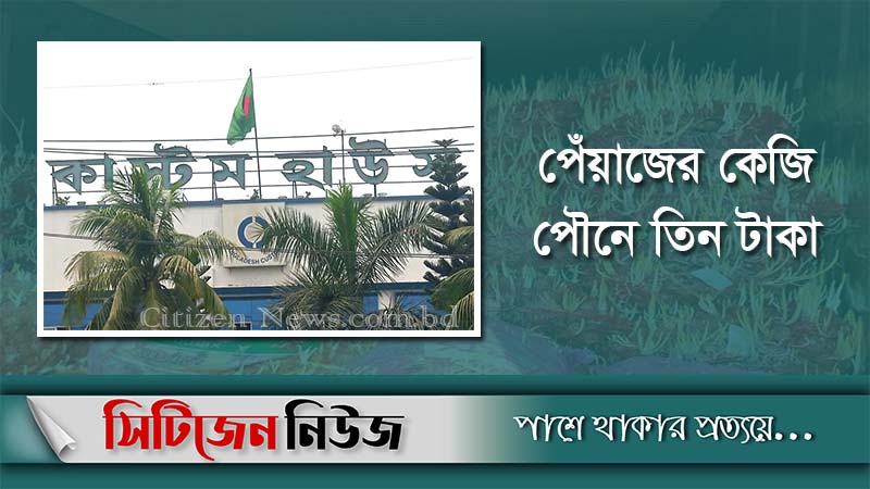 এক হাজার ১০০ টন পেঁয়াজ নিলামে বিক্রির সিদ্ধান্ত