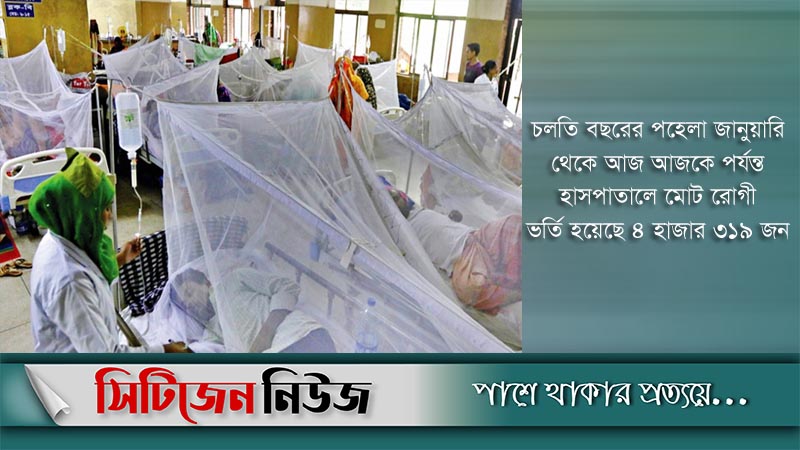 ডেঙ্গু আক্রান্ত আরও ২০৪ জন হাসপাতালে