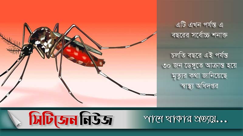 ডেঙ্গু: ২৪ ঘন্টায় হাসপাতালে ৩০৬ জন ভর্তি
