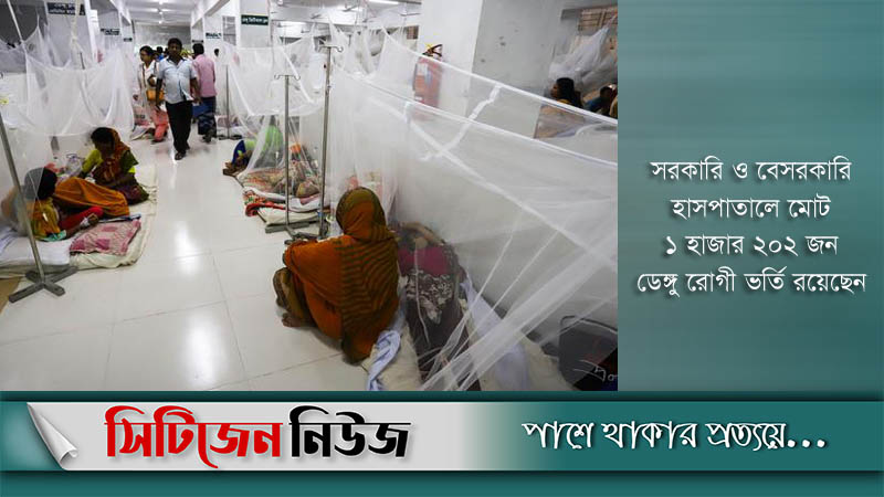 নতুন ডেঙ্গু রোগী ভর্তি ২৬৬ জন