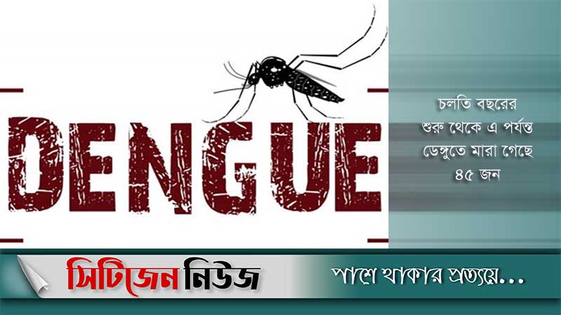 ডেঙ্গুতে নতুন আক্রান্ত ২৯৫