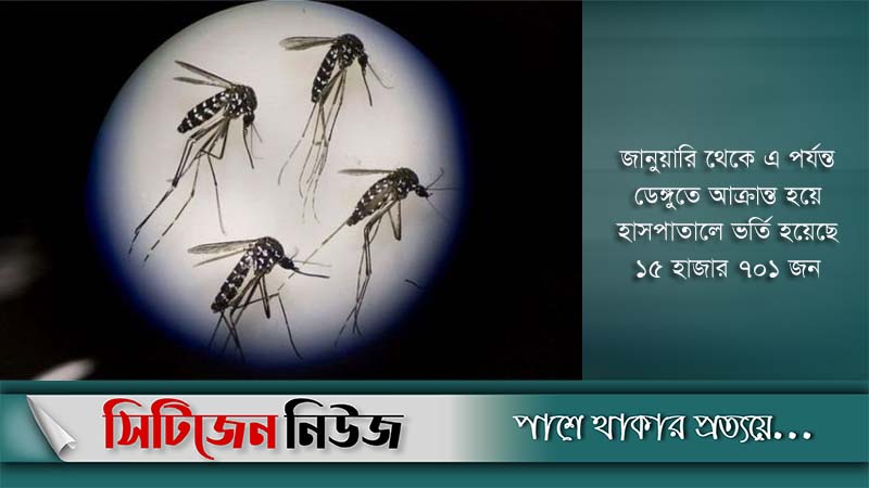 ডেঙ্গু: আরও ২৪১ জন হাসপাতালে ভর্তি