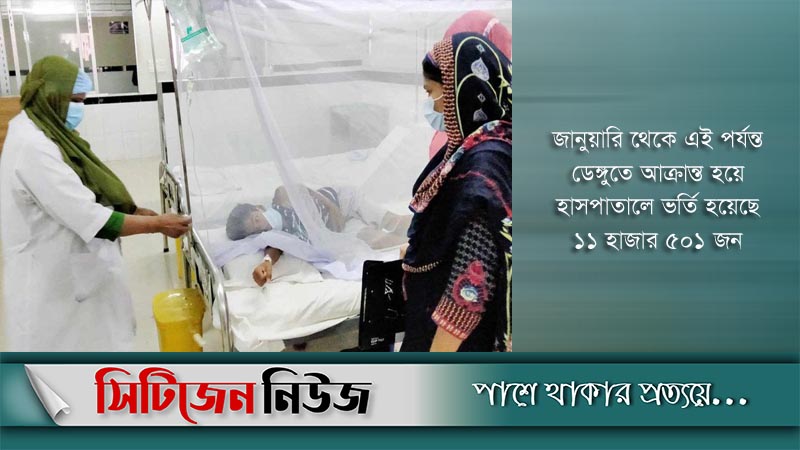ডেঙ্গুতে নতুন আক্রান্ত আরও ২৬৫