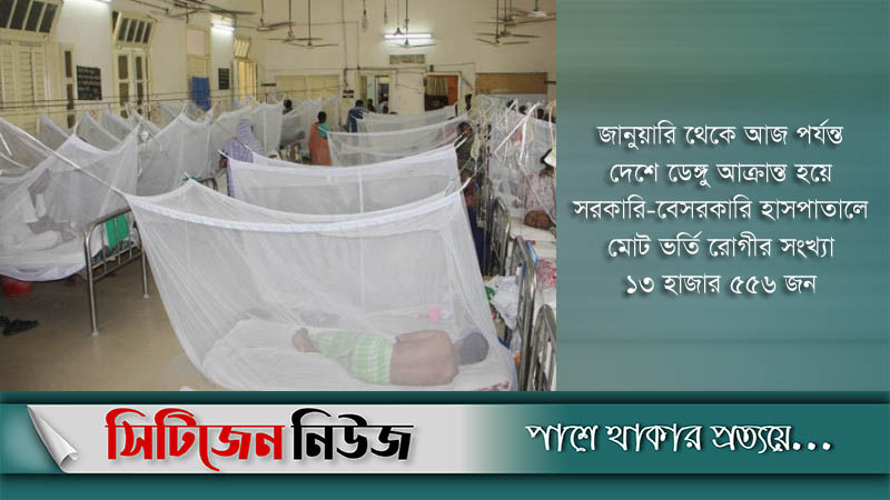 ২৪ ঘন্টায় হাসপাতালে আরও ৩০১ ডেঙ্গুরোগী