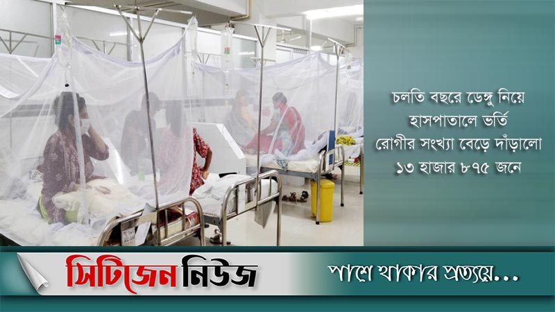 ডেঙ্গু: ২৪ ঘণ্টায় হাসপাতালে ভর্তি ৩১৯ জন