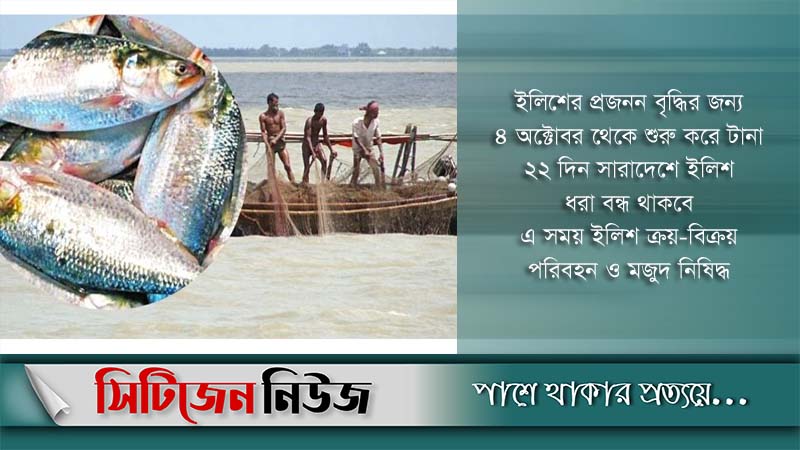 অক্টোবরে ২২ দিন ইলিশ ধরা নিষিদ্ধ