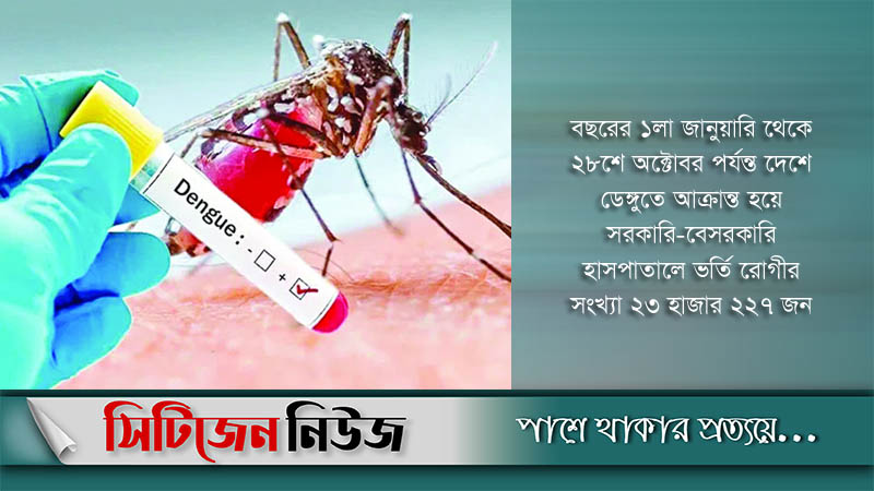 একদিনে হাসপাতালে ১৭৩ ডেঙ্গুরোগী