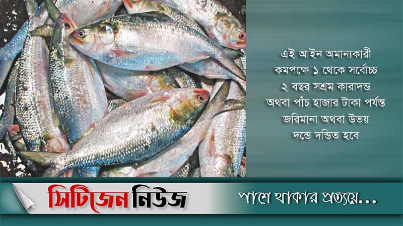 মা ইলিশ রক্ষায় অভিযান চলছে