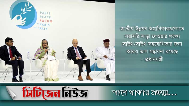 উন্নত দেশগুলো অঙ্গীকার পূরণ করতে পারে: প্রধানমন্ত্রী