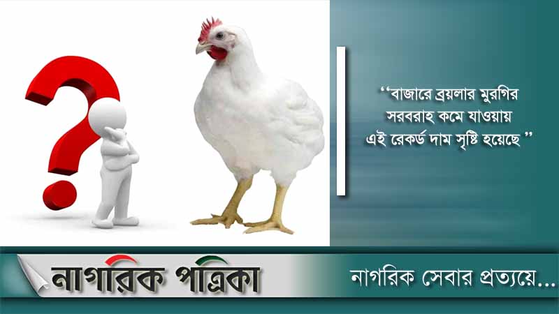 আকাশ ছোঁয়া দাম ব্রয়লার মুরগির