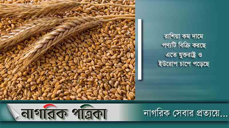 ২০ মাসে গমের দাম সর্বনিম্ন পর্যায়ে