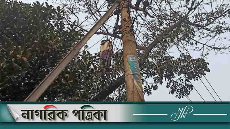 ঢাবি ক্যাম্পাসে গাছে ঝুলন্ত লাশের পরিচয় মিলেছে