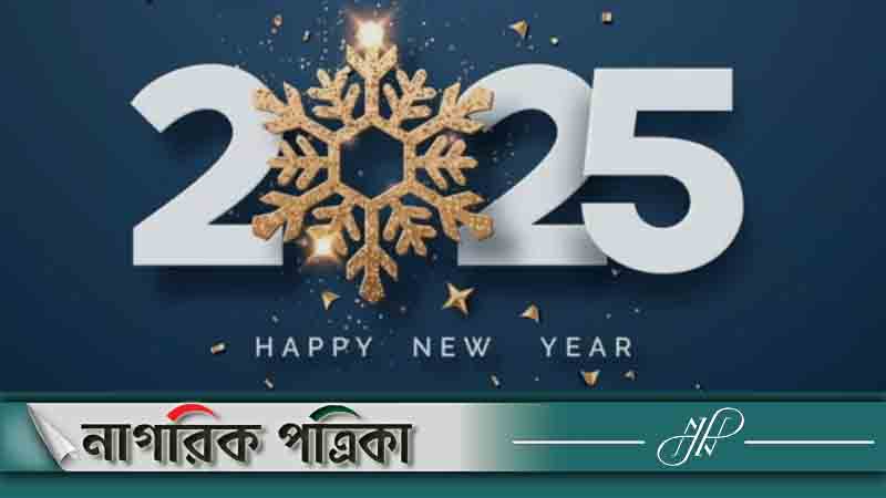 উচ্ছ্বাস-উল্লাসে ২০২৫ সালকে স্বাগত জানালো বিশ্ব
