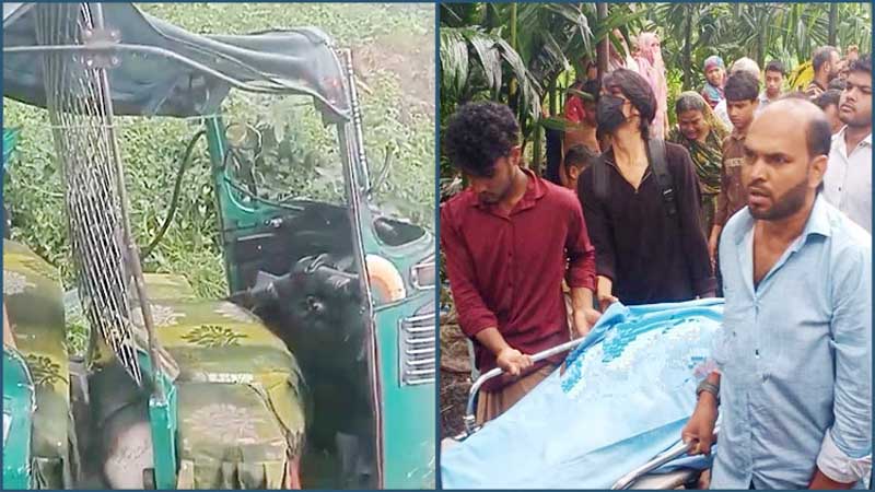চট্টগ্রামে সড়কে ঝড়লো বউ-শ্বাশুড়িসহ তিন প্রাণ