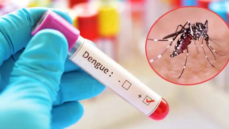 ডেঙ্গু আক্রান্তের সংখ্যা ৪০ হাজার ছাড়ালো; আরও ৬ জনের মৃত্যু